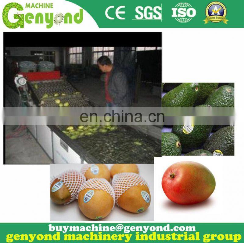 Raw mango cutting machine
