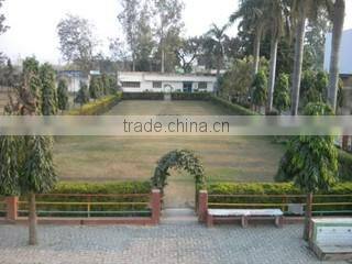 Royal De Wajidsons company overview - view 3