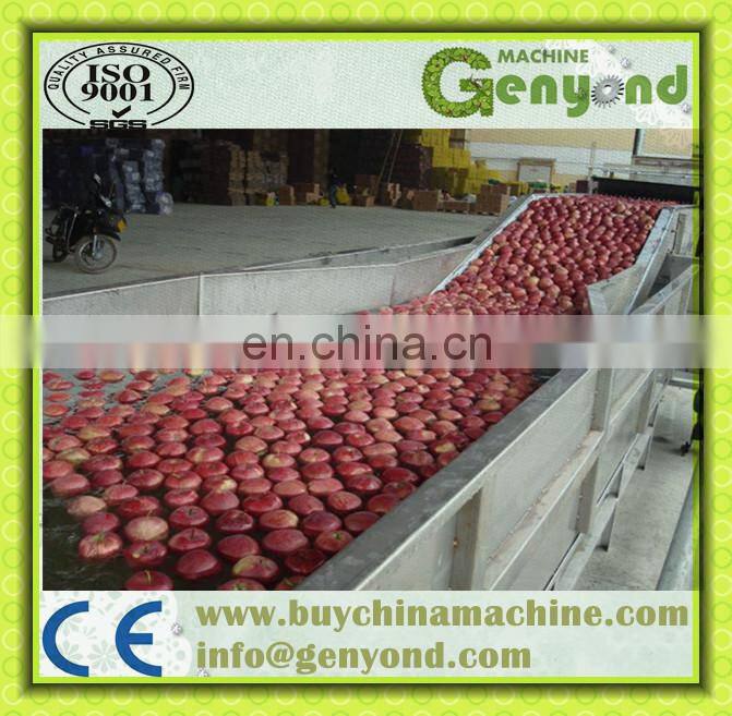 Fruit washing drying waxing grading sorting machine
