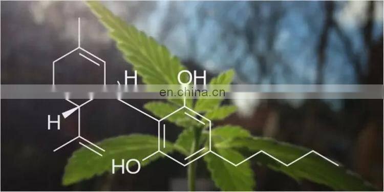 20% off supercritical (SFE) CO2 extraction device with cheap price