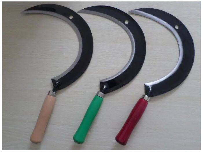 微信截图_20250623082234