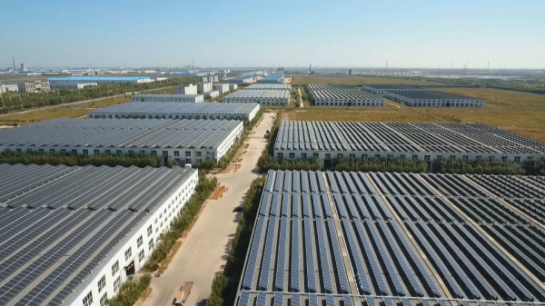 Shouguang Fuhsi Wood Group company overview - view 3