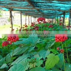 Changchun Jinsheng Zhuoyu Trading Co., Ltd. company overview - view 1