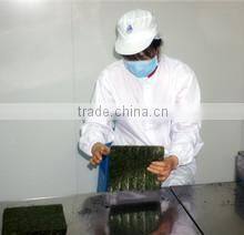 Nantong Sinfo Food Co., Ltd. company overview - view 2