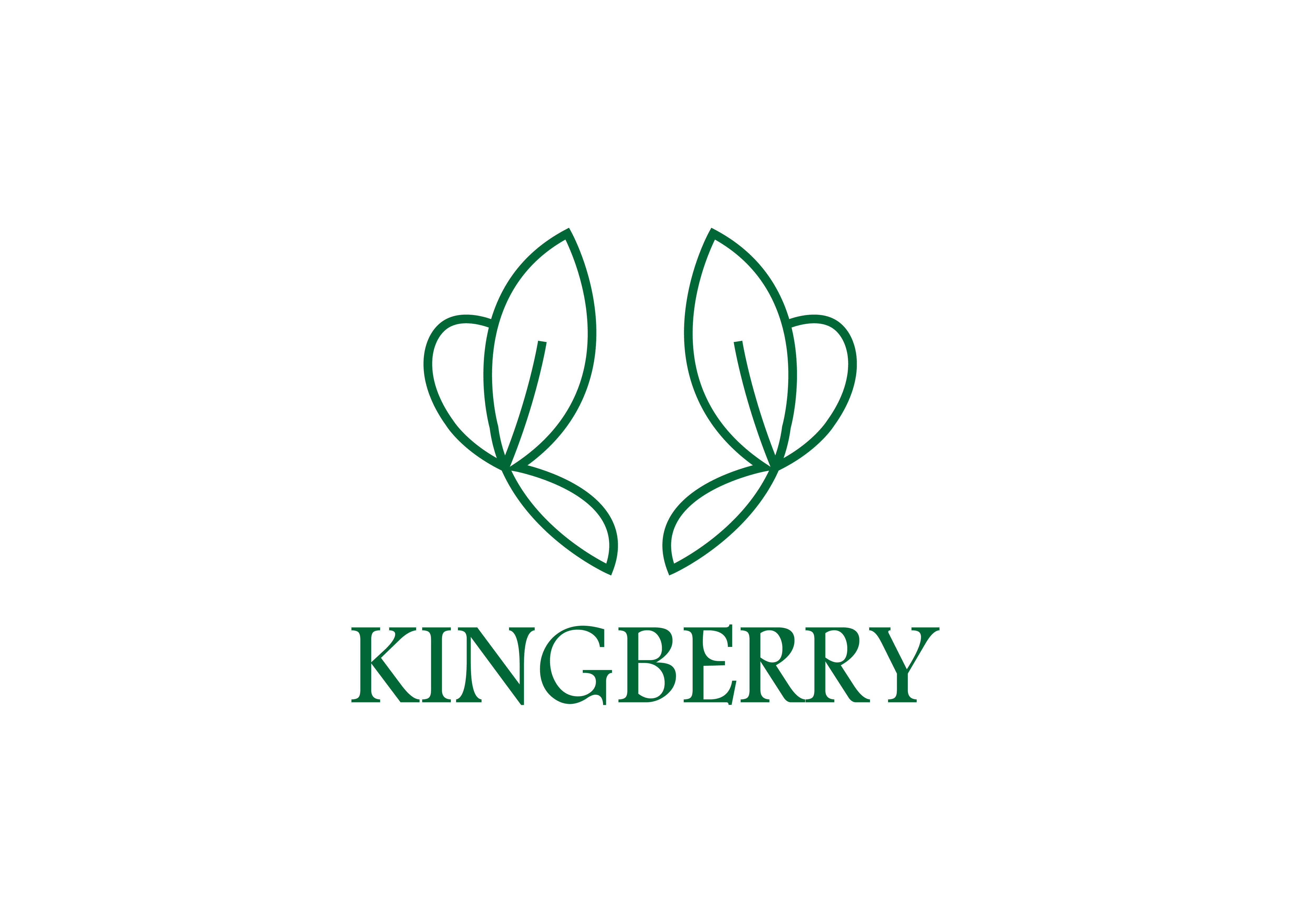 Shenzhen Kingberry Electronic Technology Co., Ltd
