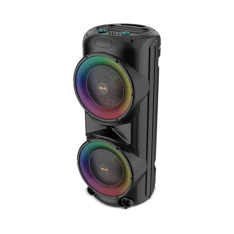 ZQS12206 super power 80W wireless 12-inch*2 active professional party speaker with colorful lights