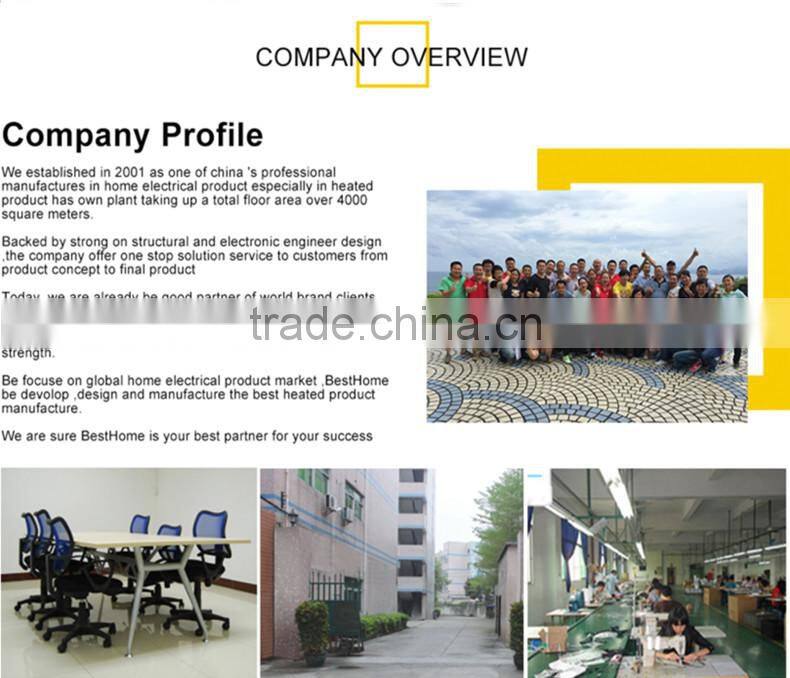 Shenzhen Besthome Product Co., Ltd. company overview - view 2