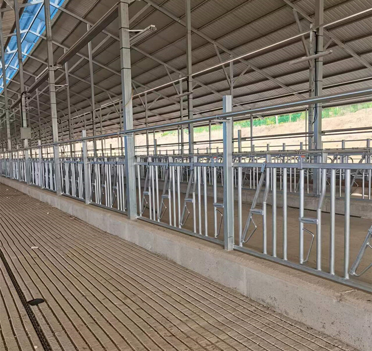 Yanshan County Muda Animal Husbandry Equipment Parts Factory company overview - view 2