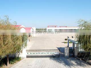 Qingdao Liandahang Foods Co., Ltd. company overview - view 2