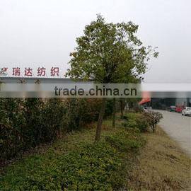 Nantong Reador Textile Co., Ltd. company overview - view 2