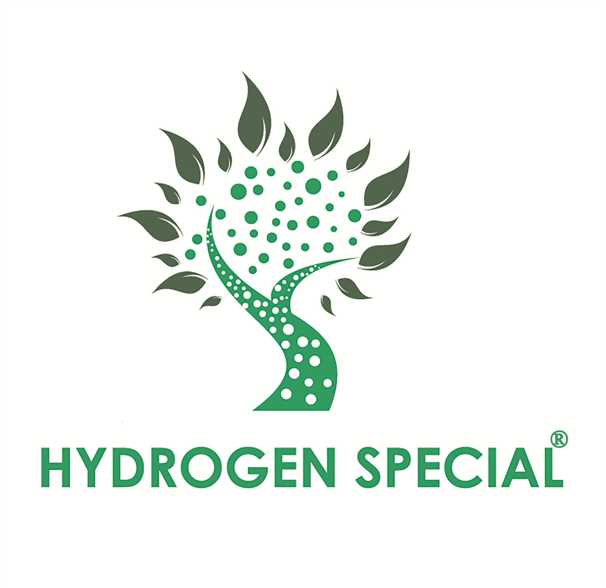 Hydrogen Special Inc.