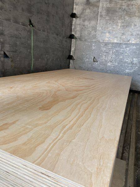 332897337_6598876200125947_8262198657802994263_n