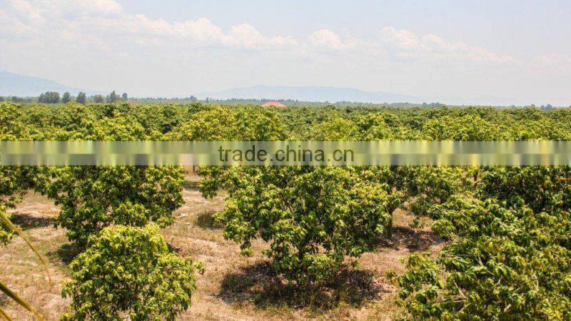 Kirirom Food Production (k.f.p) Co., Ltd. company overview - view 3