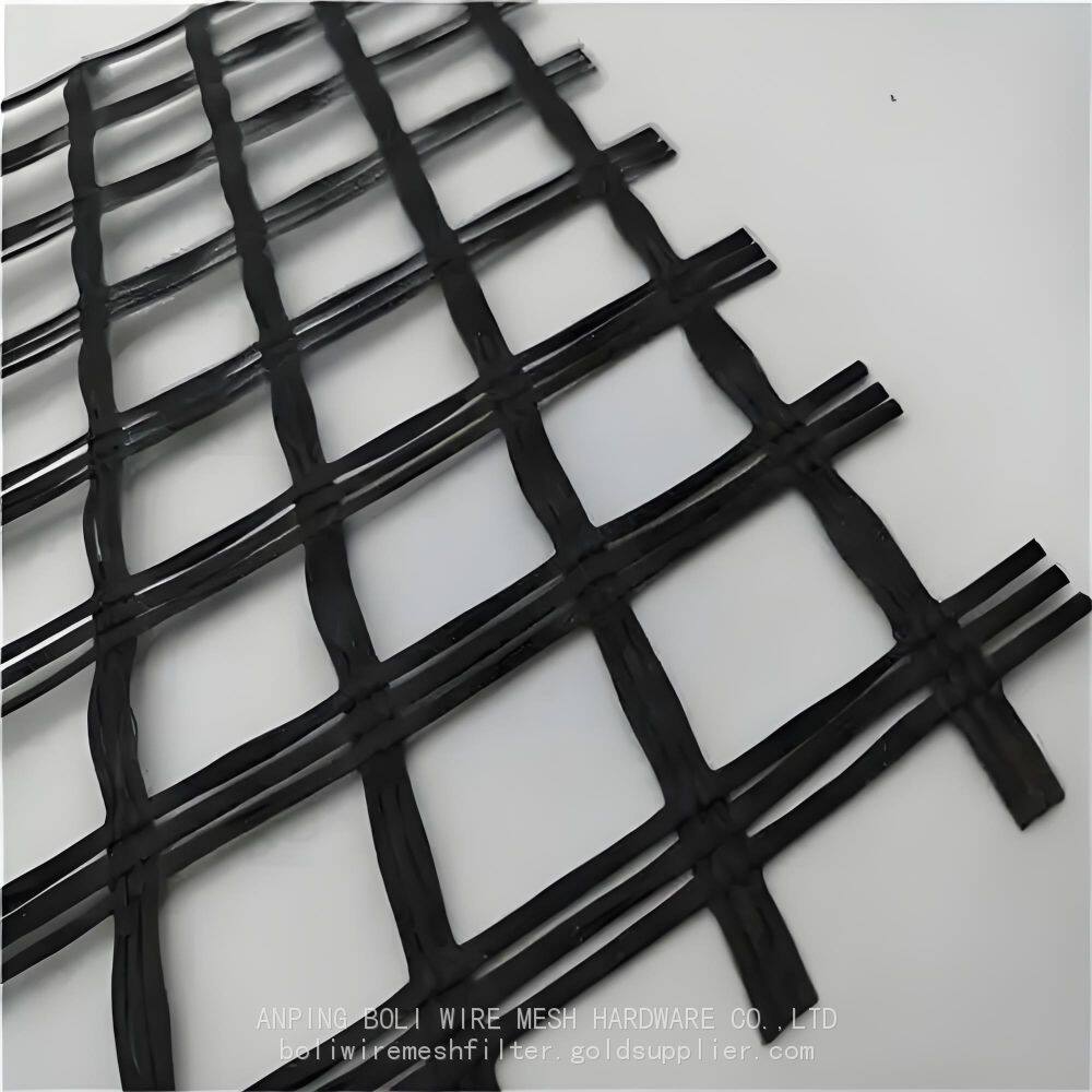 玻纤土木格栅 (1)