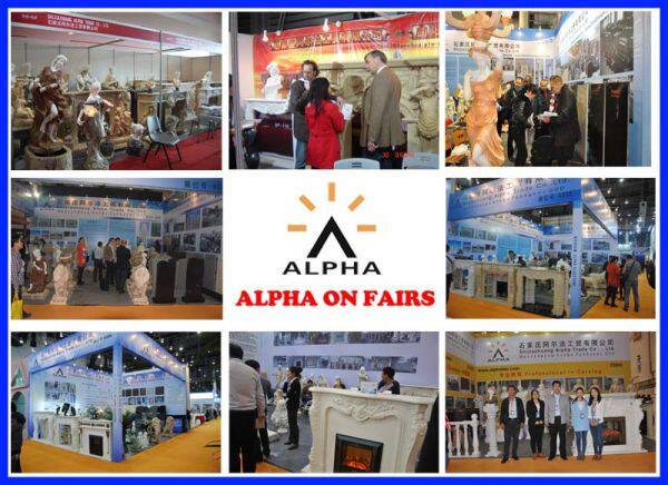 Shijiazhuang Alpha Trade Co.,Ltd. company overview - view 1