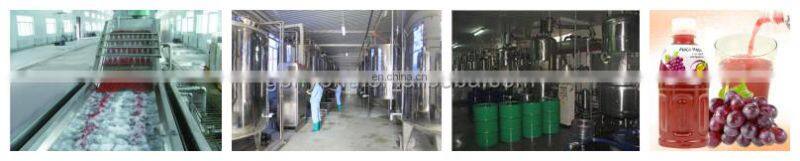 Beverage Fresh Fruit Juice Processing Plant Line Production Line
