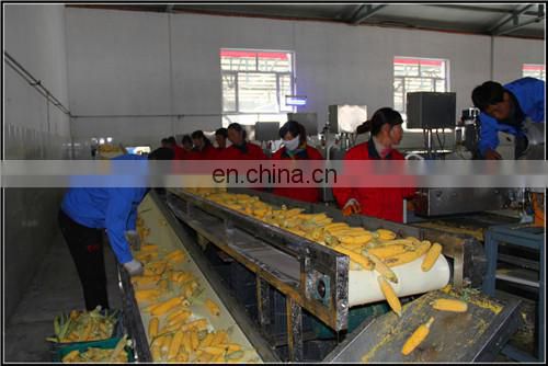 Canned Sweet Corn Processing Production Line