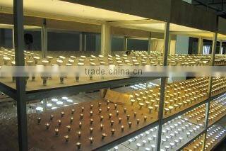 Jiangmen Synno Lighting Co., Ltd. company overview - view 3