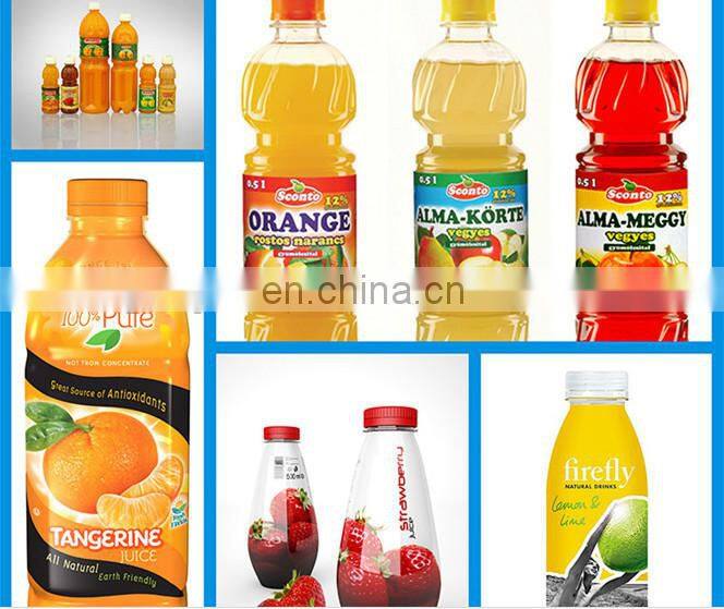 Small capacity Ginkgo juice/fresh fruit juice production line /plant /processing line /equipment