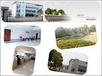 Jiangsu Mingrui Gas Spring Technology Co.,LTD company overview - view 1