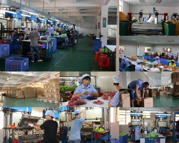 Huizhou Weiliys Technology Co., Ltd company overview - view 4