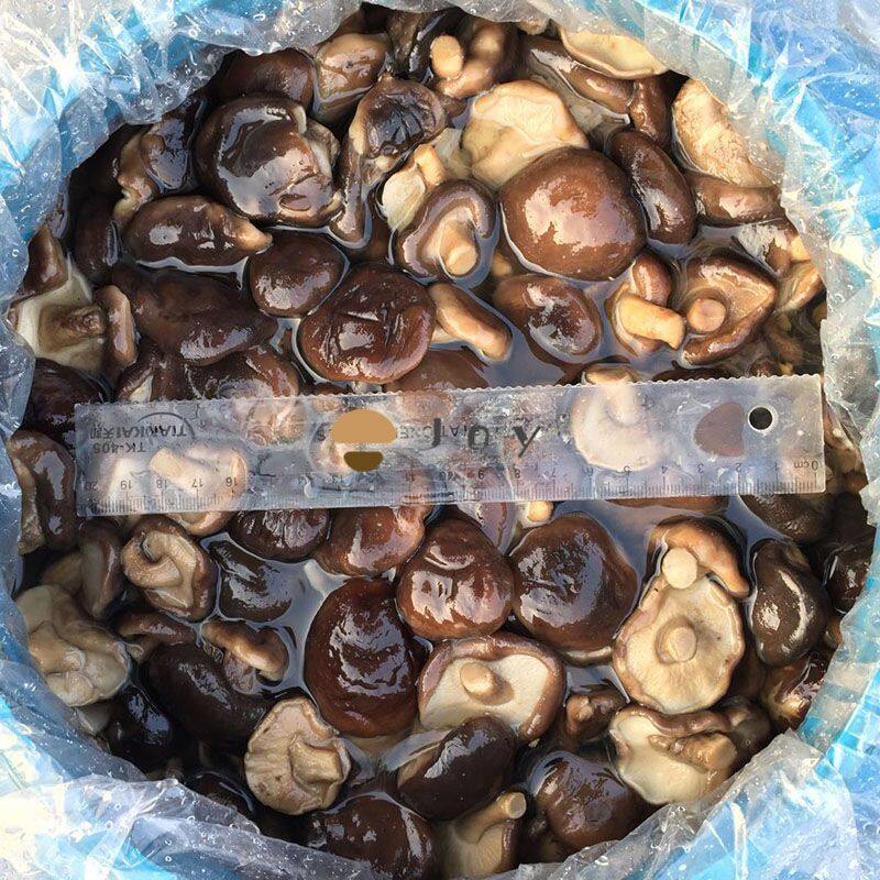Shiitake mushroom whole in brine