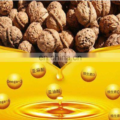 Hydraulic oil Walnut oil edible oil pressing machine Cold & Hot Pressing Machine