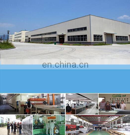 1000kg Cube vegetable fish meat Liquid nitrogen quick freezing tunnel