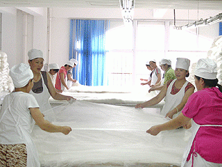 Xuzhou Shengkun Silk Manufacturing Co., Ltd. company overview - view 1