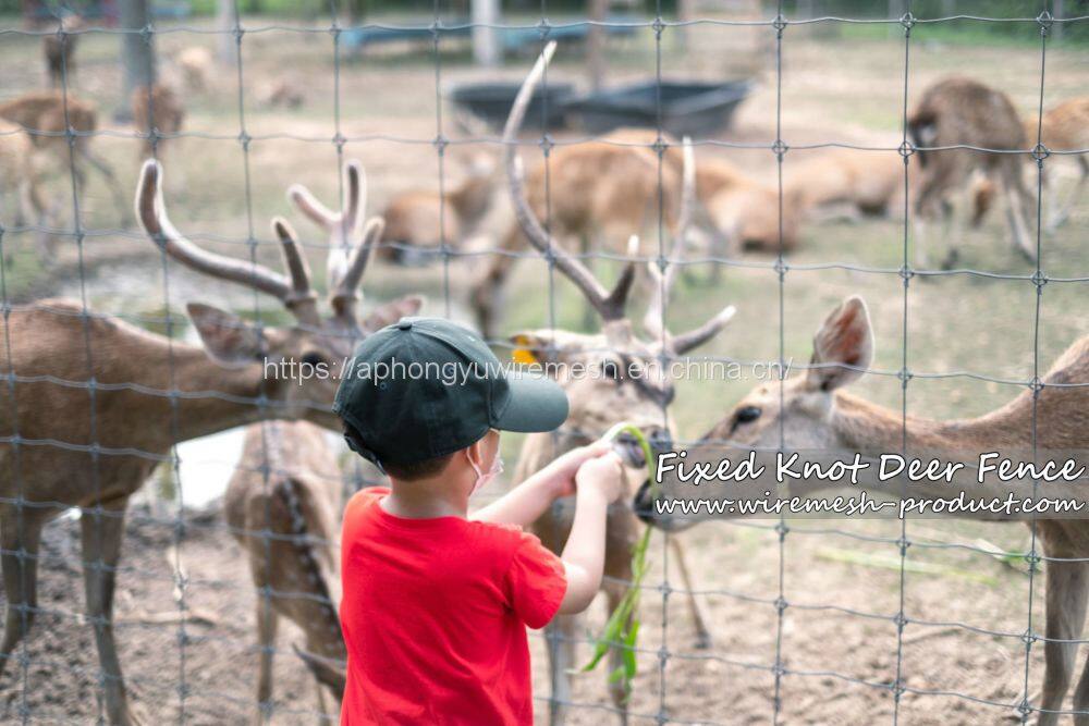 gettyimages-1268629983-2048x2048