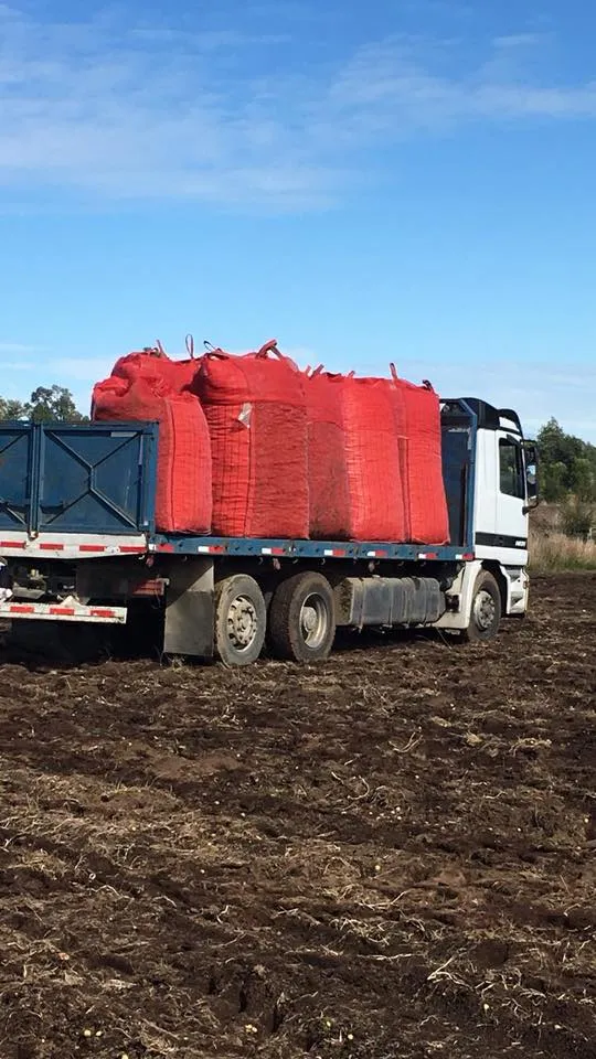 5eec2751-2fe8-46c1-954a-0648ba92b6f2