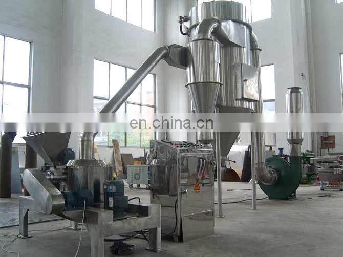 Dehydrated Red Onion Powder processing plant