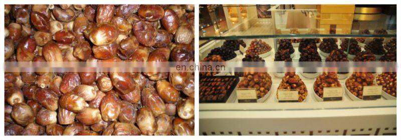 small scale date molasses processing plant