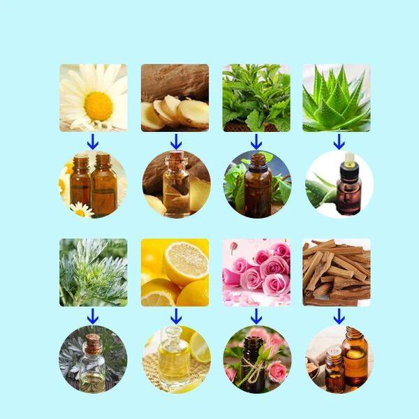10-30L Cardamom Essential Oil Extraction Distillation Equipment
