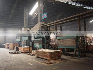 Linyi Jinxing Plywood Factory company overview - view 3