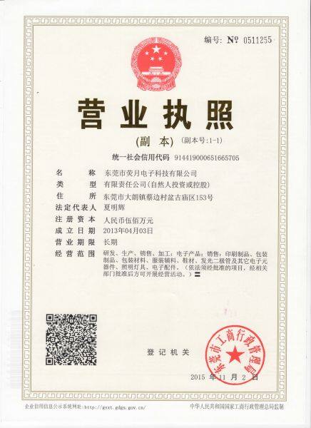 Dongguan Ying Yue Electronic Technology Co. Ltd. company overview - view 1