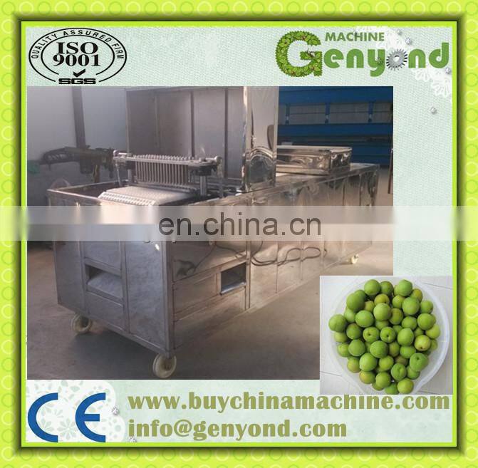 Cherry pitting machine / olive seed / cherry pit removing machine