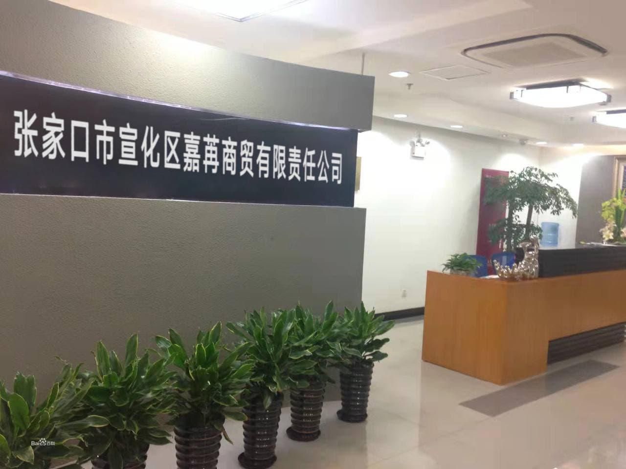 Zhangjiakou Xuanhua jiaran Trading Co., Ltd
