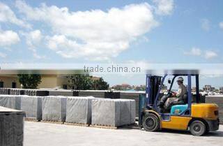 Viet Nam Investment And Technology Development Company Limited company overview - view 1