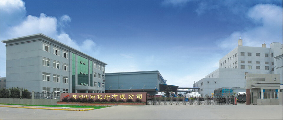 Hangzhou Zhongli Chemical Fiber Co., Ltd company overview - view 1