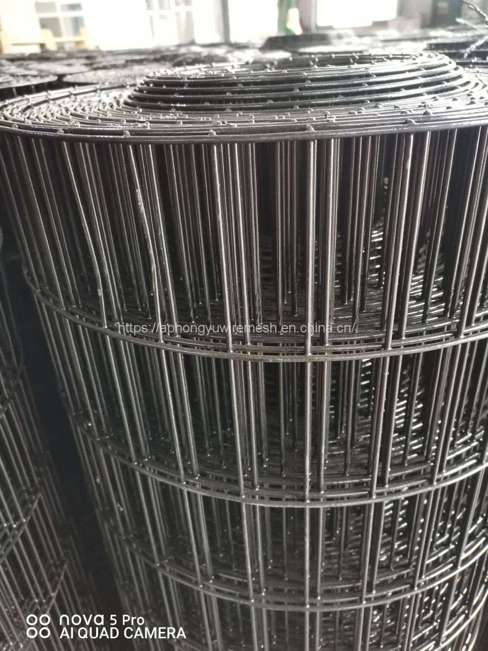 IMG_0258(20220510-113830)