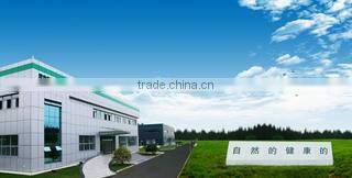 Shenzhen Dragonbest Technology Co., Ltd. company overview - view 1