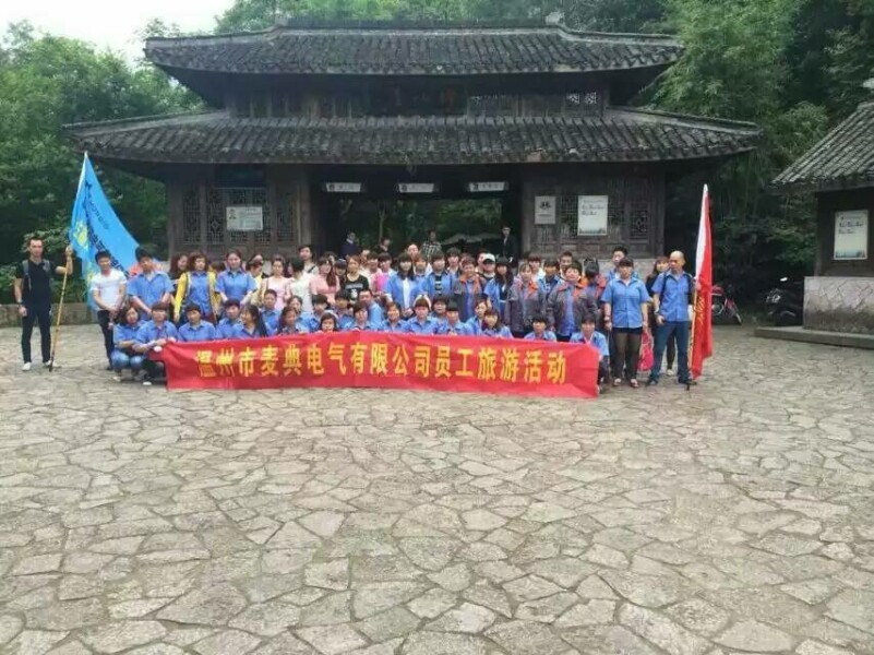 Mordio Electric Co., Ltd company overview - view 3