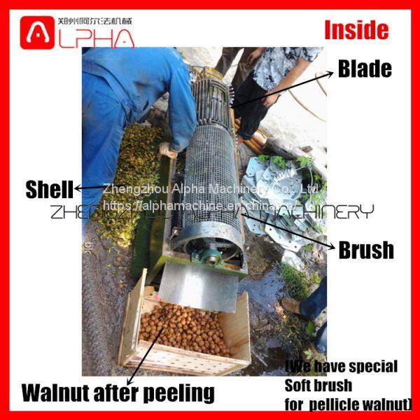 walnut peeling and shelling machine3