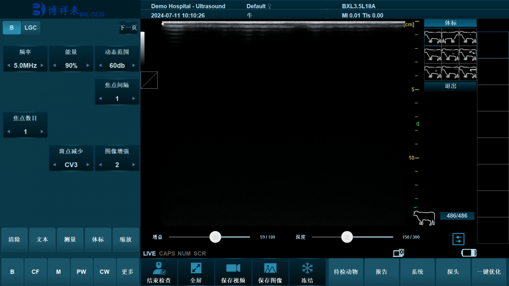 DBDZ体标选择中文