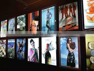 GGE Corp., Limited company overview - view 4