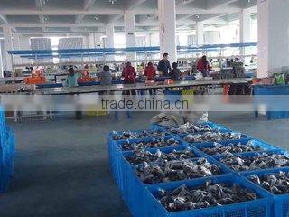 Yongkang Kangxuan Import And Export Co., Ltd. company overview - view 3