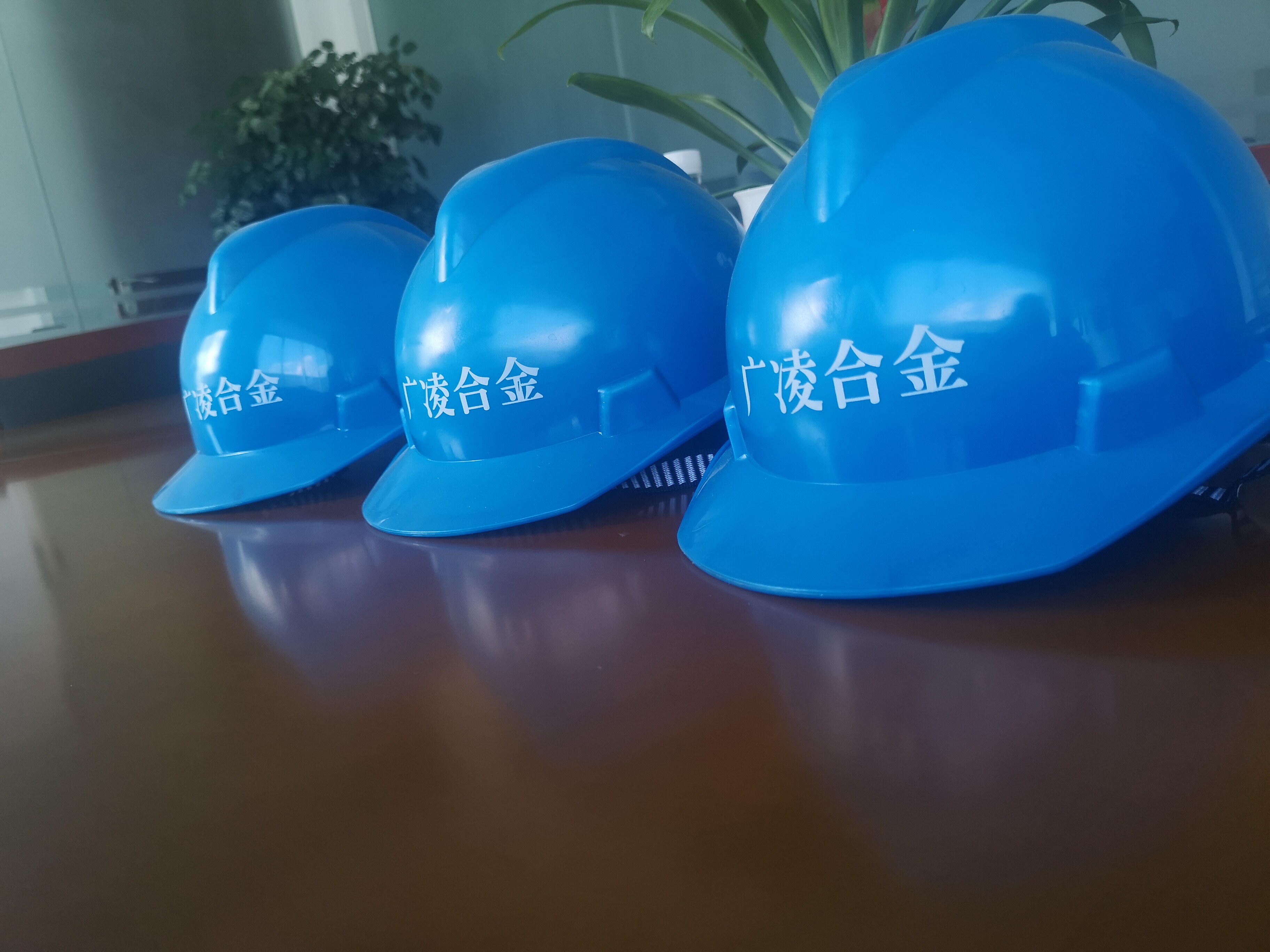 Jiangsu Goland Hi-tech Alloys Co.,Ltd. company overview - view 3