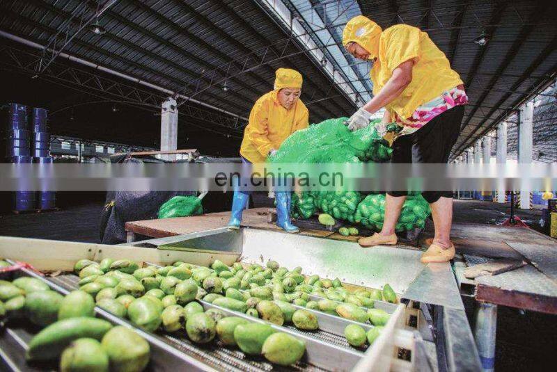 Automatic dried mango chips machine line auto vacuum fried mango chip making machines cheap price for sale