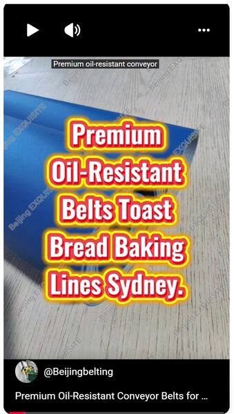 Sydney Oil-Resistant Conveyor Belts for Toast Bread Baking Lines.
